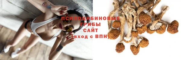 марки nbome Алзамай