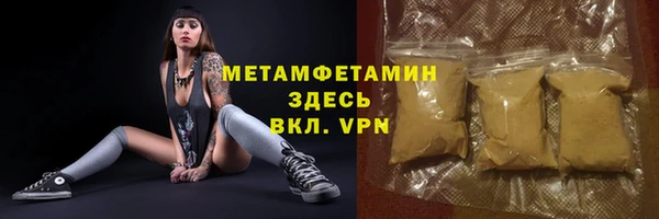 ПСИЛОЦИБИНОВЫЕ ГРИБЫ Новозыбков