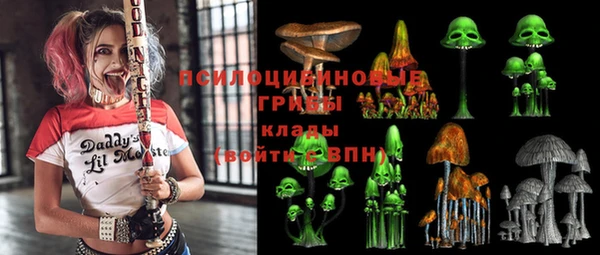 таблы Новодвинск