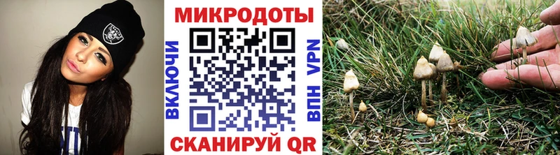 OMG ССЫЛКА  Апшеронск  Галлюциногенные грибы GOLDEN TEACHER 